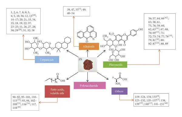 Can Semen Ziziphi Spinosae Extract be taken with other supplements or medications?